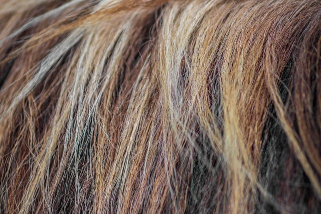 cheveux abimés si trop de lavage